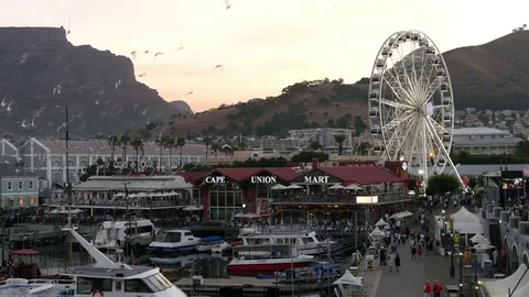 Cape Town Waterfront wide angle with flying seagulls 動画素材 72496772