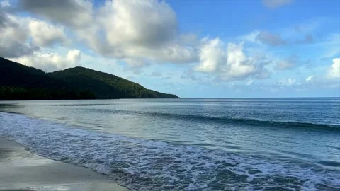 Cape Tribulation - Myall Beach Vidéo 321115770
