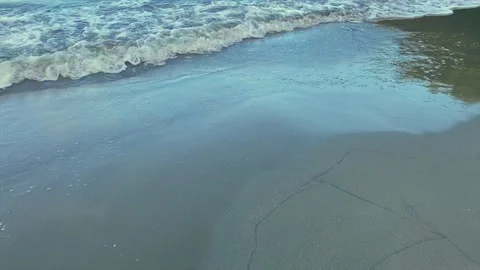 Cape Tribulation - Myall Beach  Vidéo 321117507