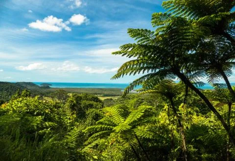 Cape Tribulation view Stock Photos