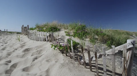 Cape_Cod_dune_wooden_fence Video stock 39884763
