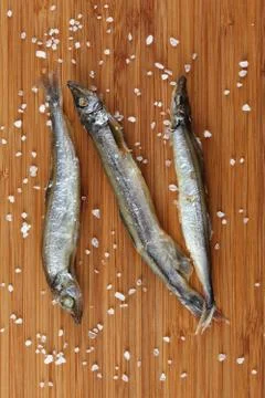 Capelin Stock Photos
