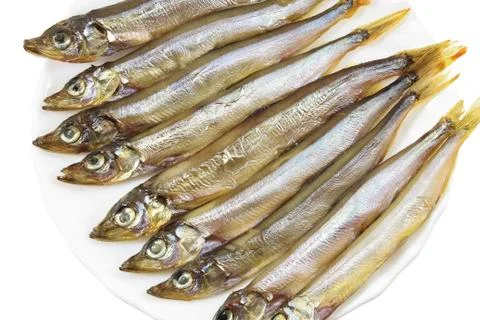 Capelin Stock Photos