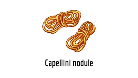 Capellini nodule icon animation Stock Footage 152556547