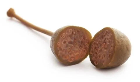 Caper Berries Stock Photos