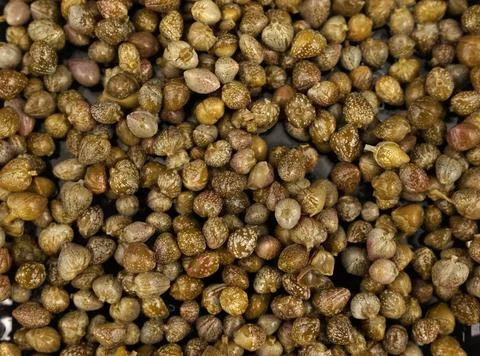 Caper Stock Photos