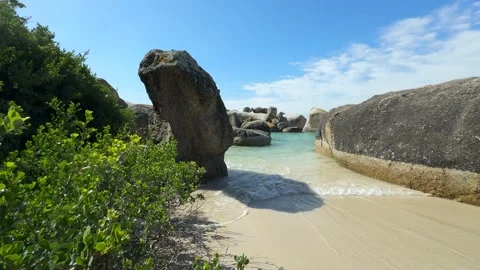 CapeTown BouldersBeach Stock Footage 277830464