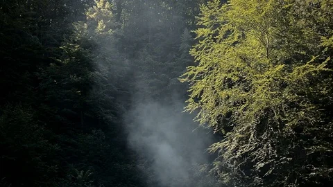 Capfire smoke Stock Footage 123506948