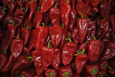 Capia pepper. Red pepper. Stock Photos