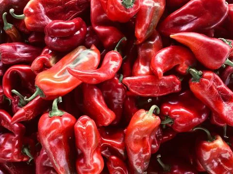 Capia pepper. Red pepper. Stock Photos