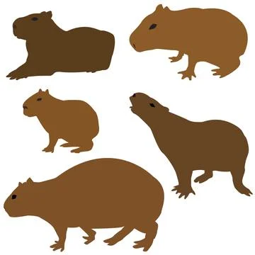 Capibar set on white background Stock Illustration