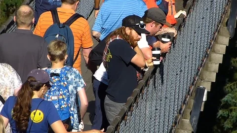 Capilano Close Up Stock Footage 90061600