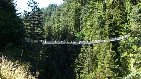 Capilano Extra Long Shot Stock Footage 90061616