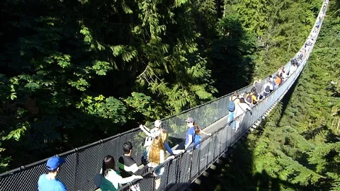 Capilano Long Shot Stock Footage 90061451