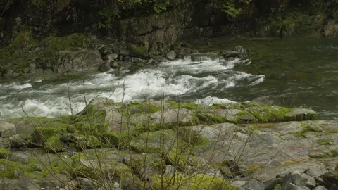 Capilano River Rapids Stock Footage 84381233