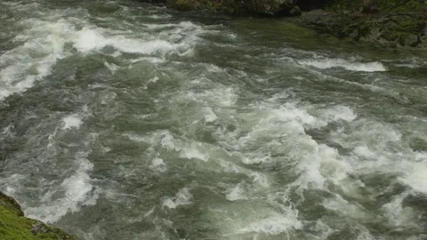Capilano River Rapids Stock Footage 84432550