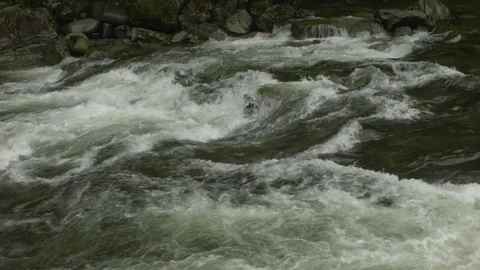 Capilano River Rapids Stock Footage 84468220