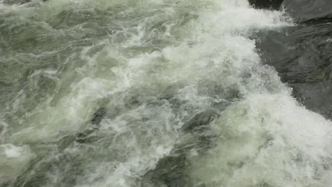 Capilano River Rapids Stock Footage 84517262