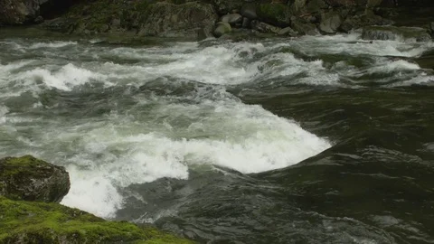 Capilano River Rapids Stock Footage 84542937