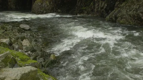 Capilano River Rapids Stock Footage 84585588