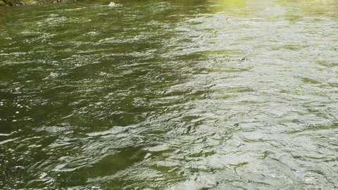 Capilano River Rapids Stock Footage 84588582