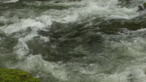 Capilano River Rapids Stock Footage 84589819