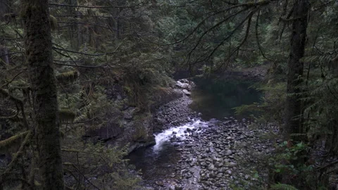 Capilano River Shallow Rapids North Vancouver 4K UHD Stock Footage 329705685