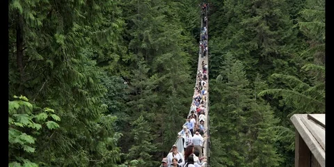 Capilano Suspension Bridge Stock Footage 95162182