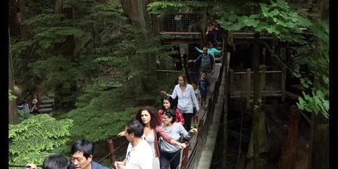 Capilano Suspension Bridge Stock Footage 95162195