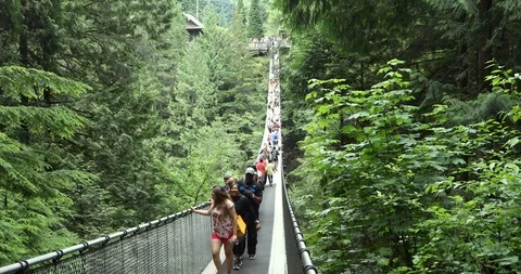 Capilano Suspension Bridge Stock Footage 95162329