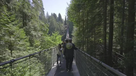 Capilano Suspension Bridge Stock Footage 268774975