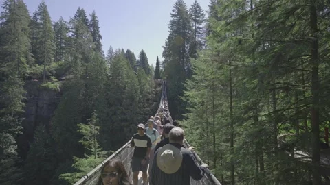 Capilano Suspension Bridge Video stock 268775002