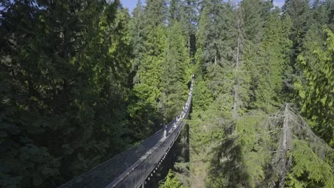 Capilano Suspension Bridge Stock Footage 268775030