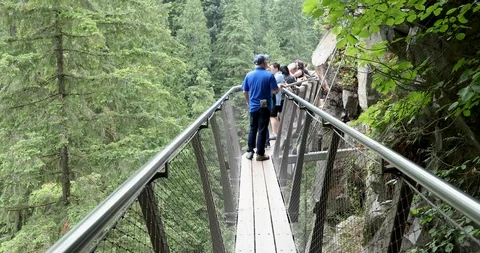 Capilano Suspension Bridge Park Vídeo Stock 95162339