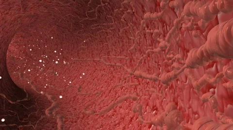 Capillaries 스톡 동영상 132769