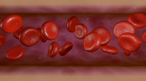 Capillary 2 Stock Footage 531227