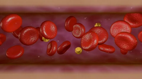 Capillary 3 Stock Footage 531228