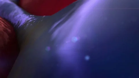 Capillary and cells Stock Footage 75616712