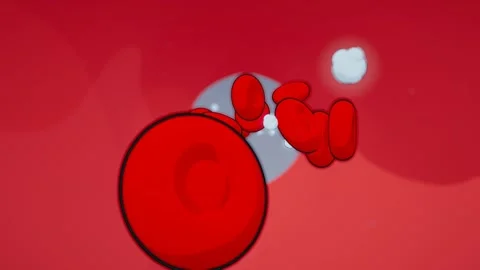 Capillary Bloodstream Cel Shaded Illustration Of Nutrient Delivery Biology Stock Footage 342406857