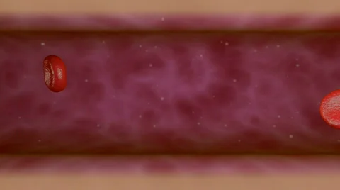 Capillary  Stock Footage 531220