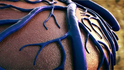 Capillary on the human organ Stock-Footage 100603054
