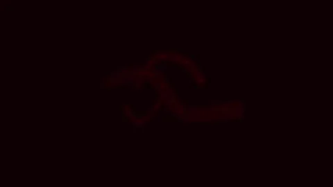 Capillary Network Flow 4K Stockbeeldmateriaal 338383553