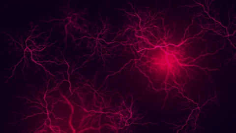 Capillary structure or arterial cells within the human body Stock Footage