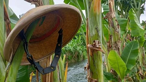 Caping, a hat made from woven bamboo Stock Photos