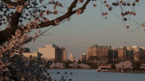 Capital and jefferson Stock Footage 37628413