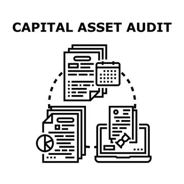 Capital asset auditing process managing business financial data Stock Illustration