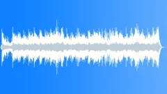 Capital Assets Stock Music