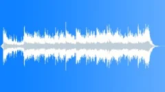 Capital Assets Stock Music