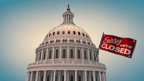 Capital Building with Closed Flag Animation 库存影片 84874625