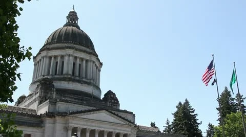 Capital dome and flags Stock Footage 11781435